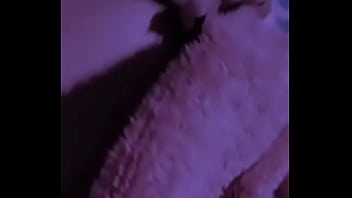 Update #1 2024 05 20t09 00 41 000z