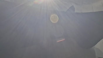 Married woman 38 years old slender figure exciting car sex