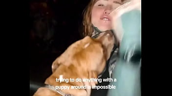 Impossible #relatable #puppy #funny #tattoo #alt #fyp