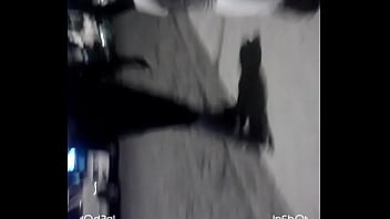 Inshot 20170106 231739 thumbnail