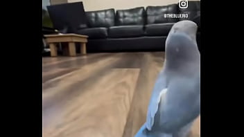 Hey you yes you i just wanted to thank you that you are on my side ️