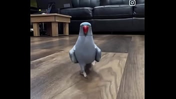 Hey you yes you i just wanted to thank you that you are on my side ️