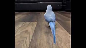 Hey you yes you i just wanted to thank you that you are on my side ️