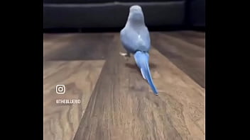 Hey you yes you i just wanted to thank you that you are on my side ️ Hey you yes you i just wanted to thank you that you are on my side ️