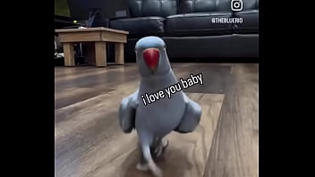 Hey you yes you i just wanted to thank you that you are on my side ️