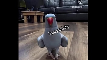 Hey you yes you i just wanted to thank you that you are on my side ️