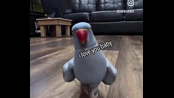 Hey you yes you i just wanted to thank you that you are on my side ️