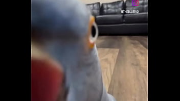 Hey you yes you i just wanted to thank you that you are on my side ️