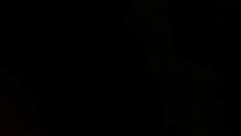 Brynn tyler and lexi stone are a stylish blonde and sophisticated brunette when they sit