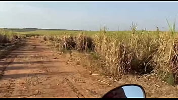 Putinha casada sai da academia pra fuder no pelo no meio do mato