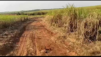 Putinha casada sai da academia pra fuder no pelo no meio do mato