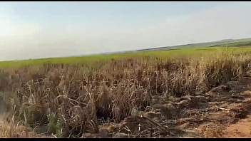 Putinha casada sai da academia pra fuder no pelo no meio do mato