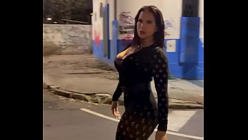 La potra aleja muestra sus encantos en la noche de quito