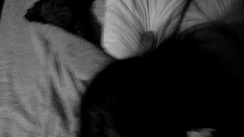 Joey gets sucked by wifey