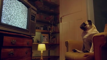 Blowjob In The Jacuzzi Marika Milani Gives Me A Filthy Blowjob In A Hotel Benefit Monkey thumbnail