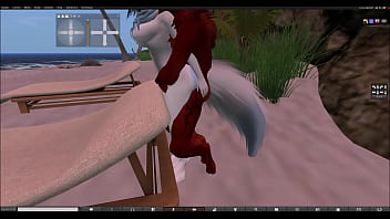 Having fun with a red wolf