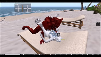 Having fun with a red wolf