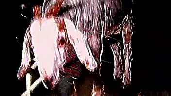 Sigil hundred acre wrists official