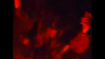 Sigil hundred acre wrists official