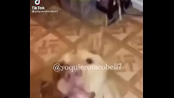 Si Le Sabe Bv thumbnail