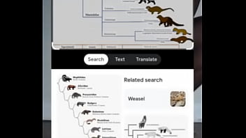 Do you smell something 1