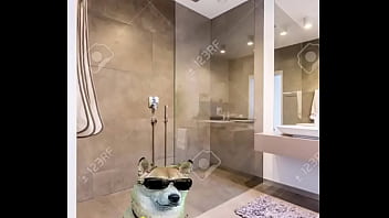 Un tutorial bueno y que necesitas xd