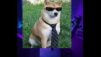 Un tutorial bueno y que necesitas xd