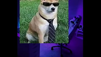 Un tutorial bueno y que necesitas xd