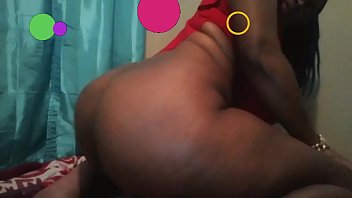 Miss rabbit & blu coco