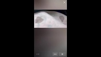 Miss rabbit & blu coco