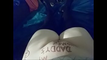 Felicity cat content 18