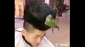 Neymar Paulo Ramos thumbnail