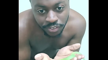 Scorpio zodiac animals that are green like a leaf 2