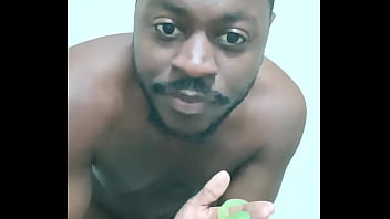 Scorpio zodiac animals that are green like a leaf 2