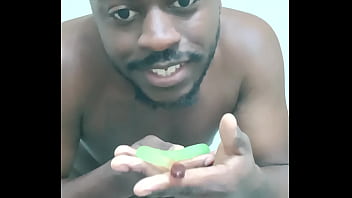 Scorpio zodiac animals that are green like a leaf 2