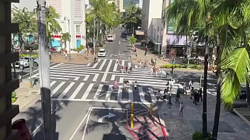 With few gentlemen callers kalā and i went for a stroll in waikiki to see the christmas decorations