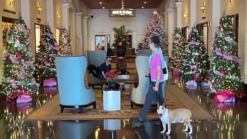 With few gentlemen callers kalā and i went for a stroll in waikiki to see the christmas decorations