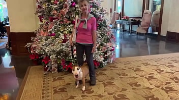 With few gentlemen callers kalā and i went for a stroll in waikiki to see the christmas decorations