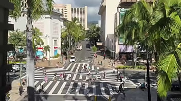 With few gentlemen callers kalā and i went for a stroll in waikiki to see the christmas decorations