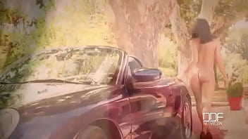 Pussy on the porsche