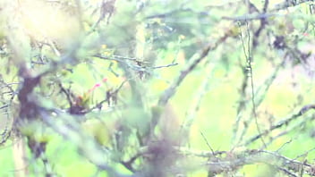 As sombras que me habitam