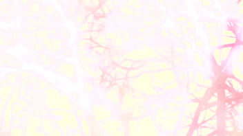 As sombras que me habitam