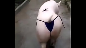 Het grappenparadijs has 39790 members grappige fotosafbeeldingenclipjes