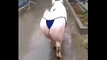 Het grappenparadijs has 39790 members grappige fotosafbeeldingenclipjes