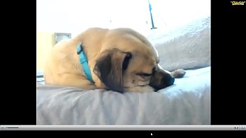 Nimbus record video 42