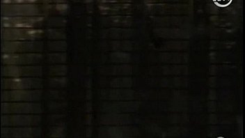 Taylor st clair loveclick