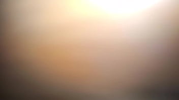 Mov 20170306 0402313