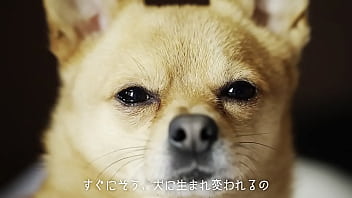 犬、ファンタジー／重音テトsv