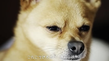 犬、ファンタジー／重音テトsv