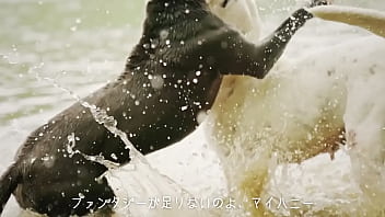 犬、ファンタジー/重音テトsv 犬、ファンタジー/重音テトsv